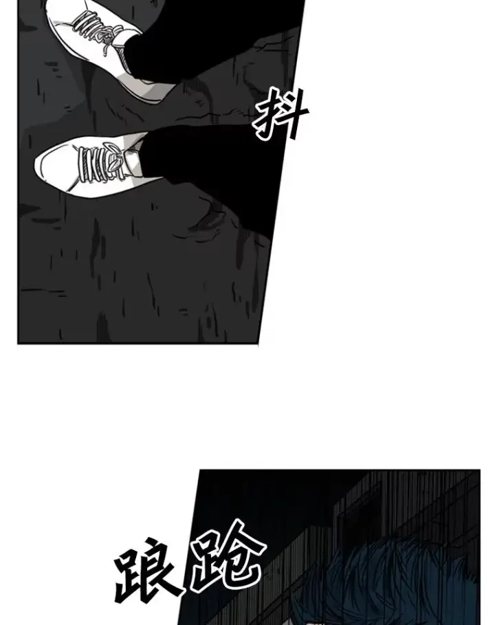 《鲨鱼》71.试探实力图124