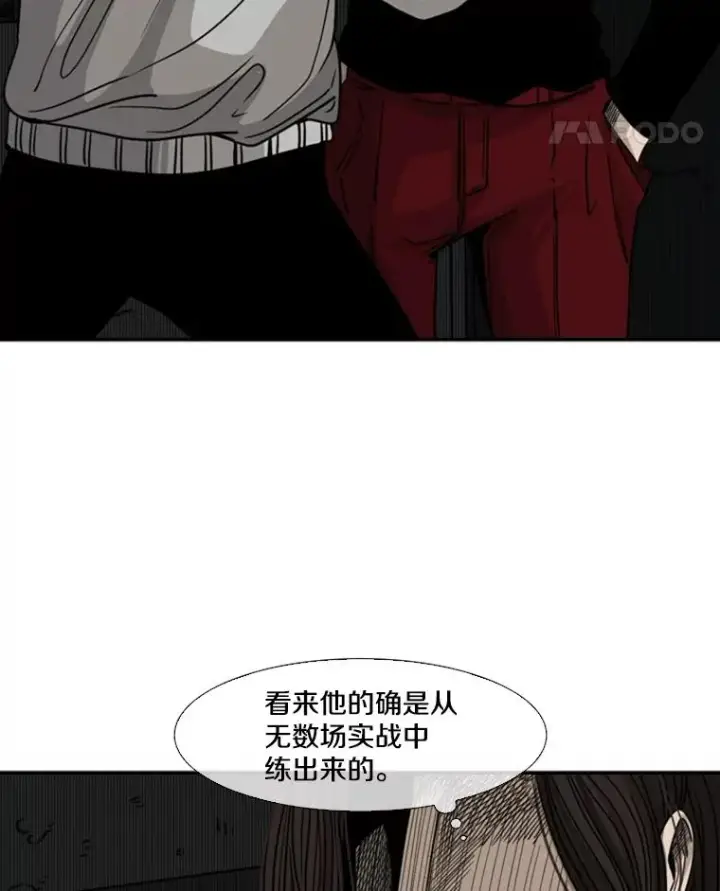 《鲨鱼》71.试探实力图39