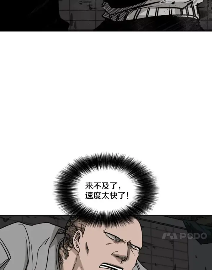 《鲨鱼》71.试探实力图52