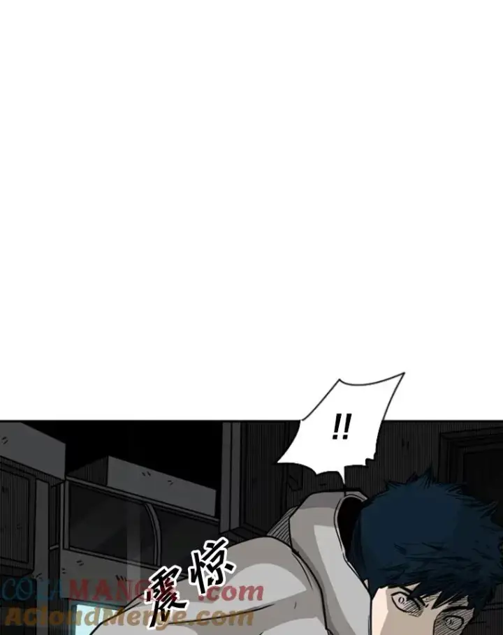 《鲨鱼》71.试探实力图81
