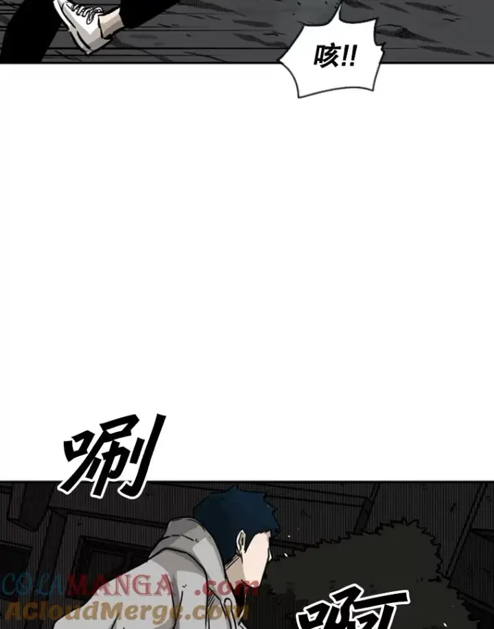 《鲨鱼》71.试探实力图85