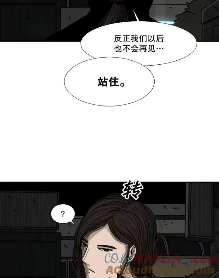 《鲨鱼》71.试探实力图93