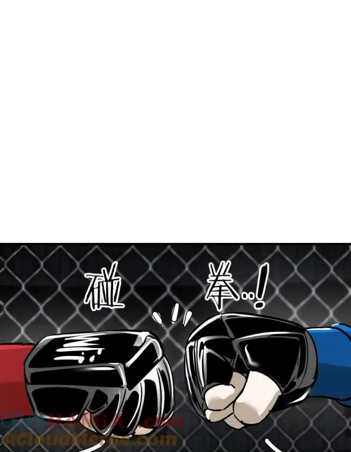 《鲨鱼》317.要害攻击图109