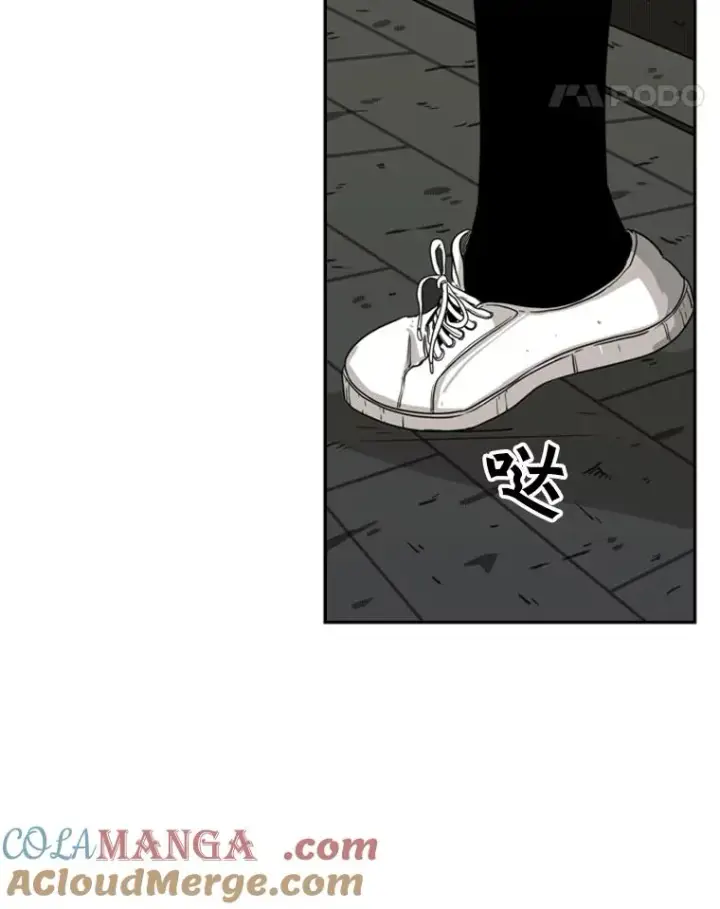 《鲨鱼》72.最强的男人图73