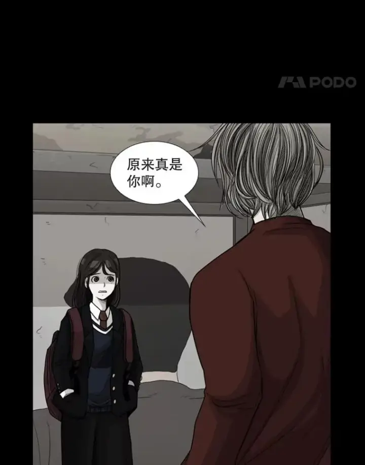 《鲨鱼》74.叙叙旧图52