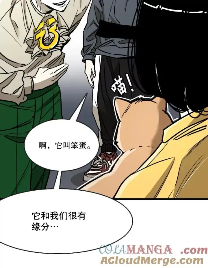 《鲨鱼》353.五号乐园图97