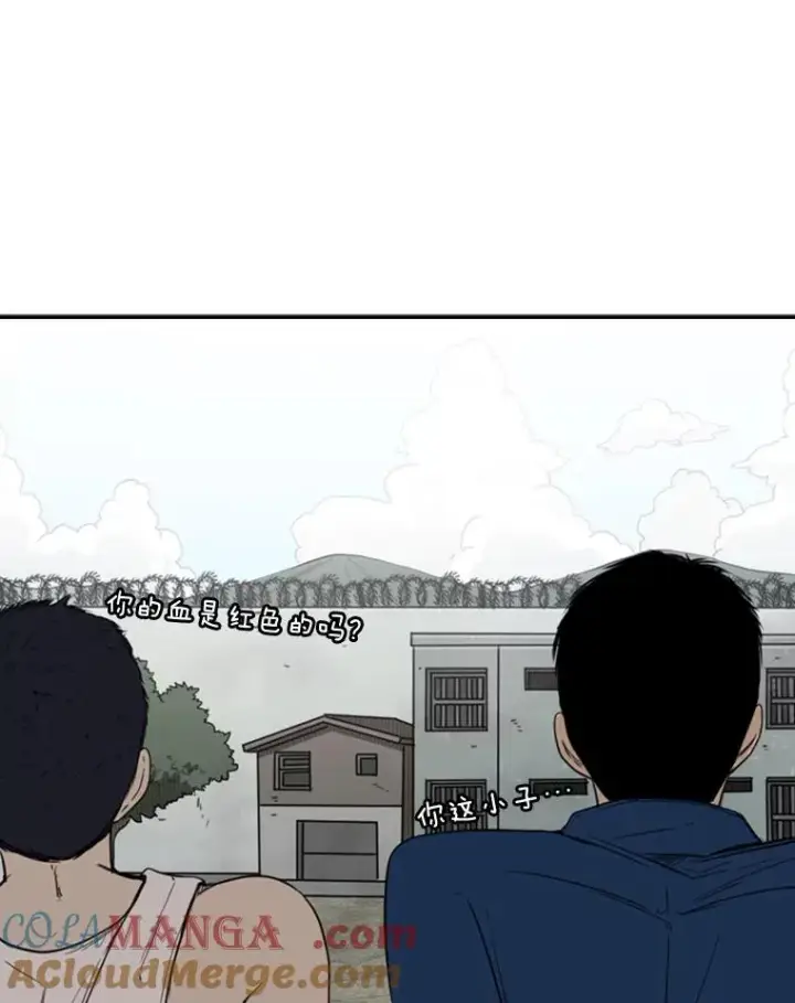 《鲨鱼》80.自己的实力图61
