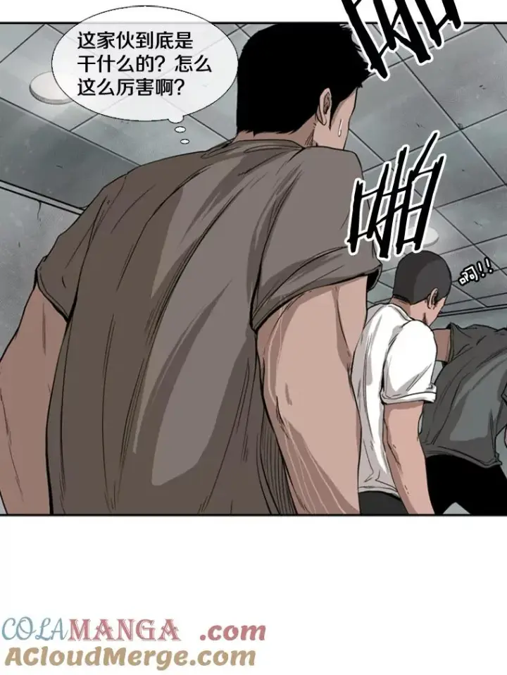 《鲨鱼》85.合体图17