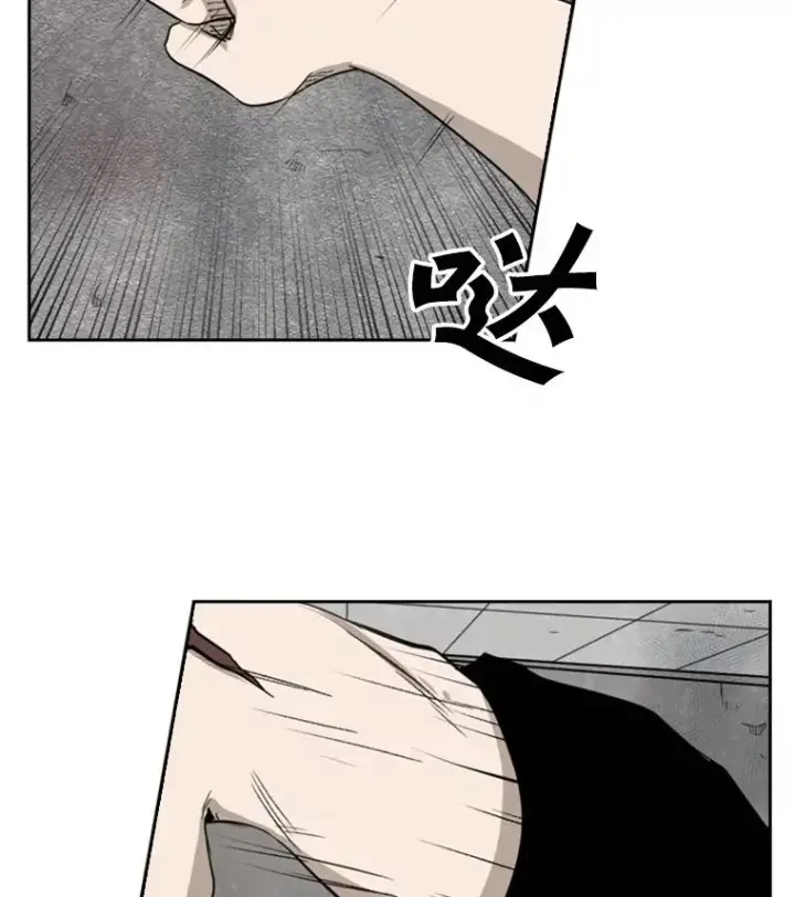 《鲨鱼》85.合体图3