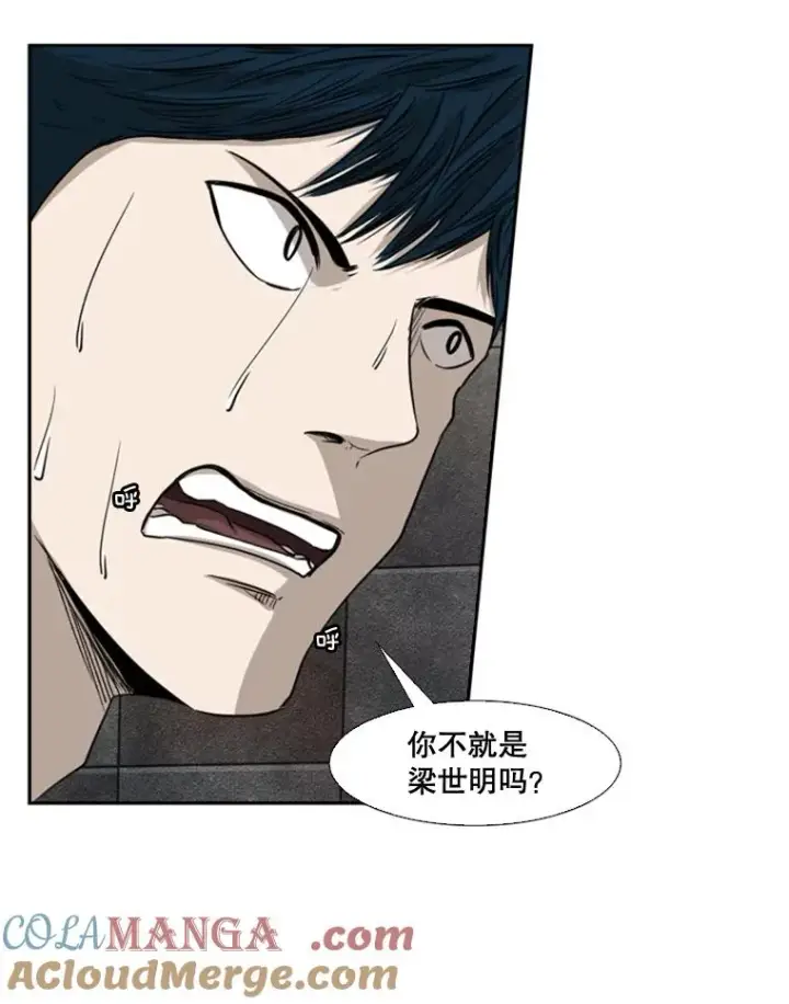 《鲨鱼》85.合体图57