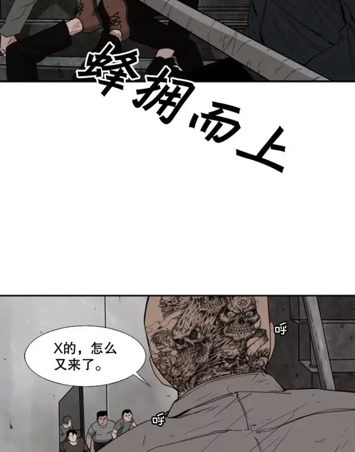 《鲨鱼》85.合体图84