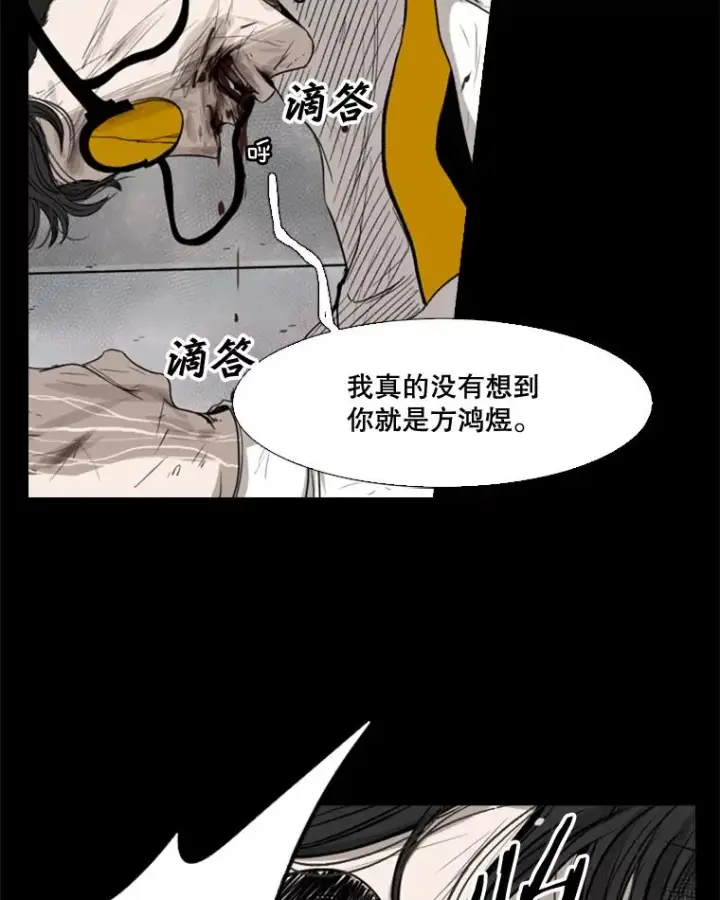 《鲨鱼》87.相同的眼神图72