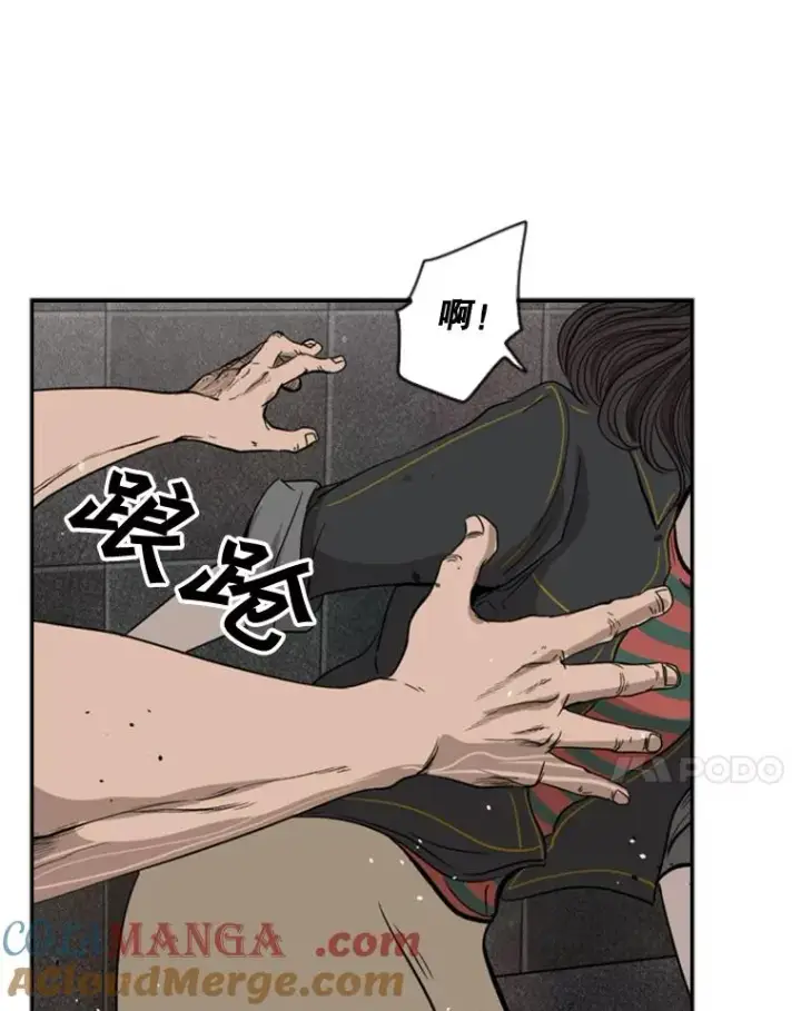 《鲨鱼》88.扭转局面图49
