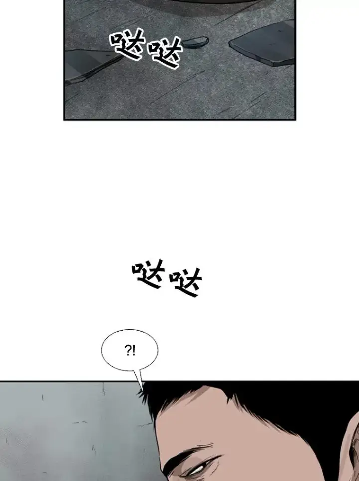 《鲨鱼》89.新秀锦标赛图20