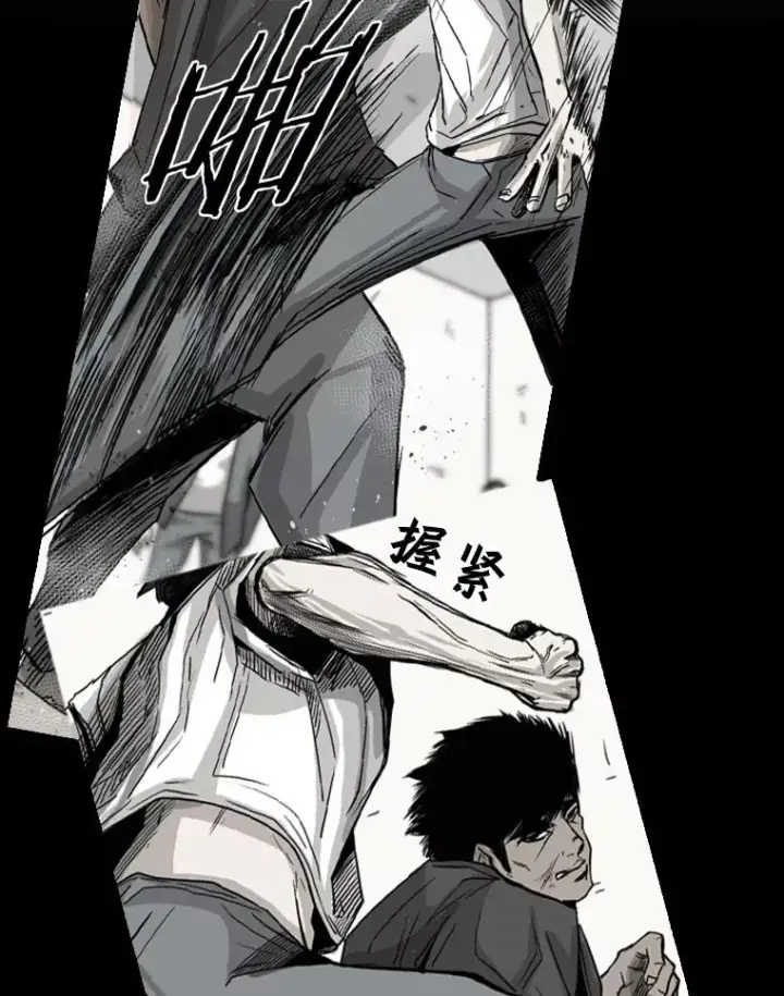 《鲨鱼》89.新秀锦标赛图99