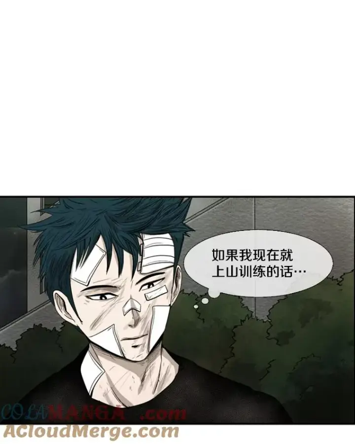 《鲨鱼》90.亲自去会面图37