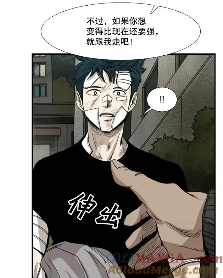 《鲨鱼》90.亲自去会面图41