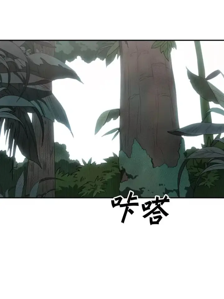 《鲨鱼》90.亲自去会面图67