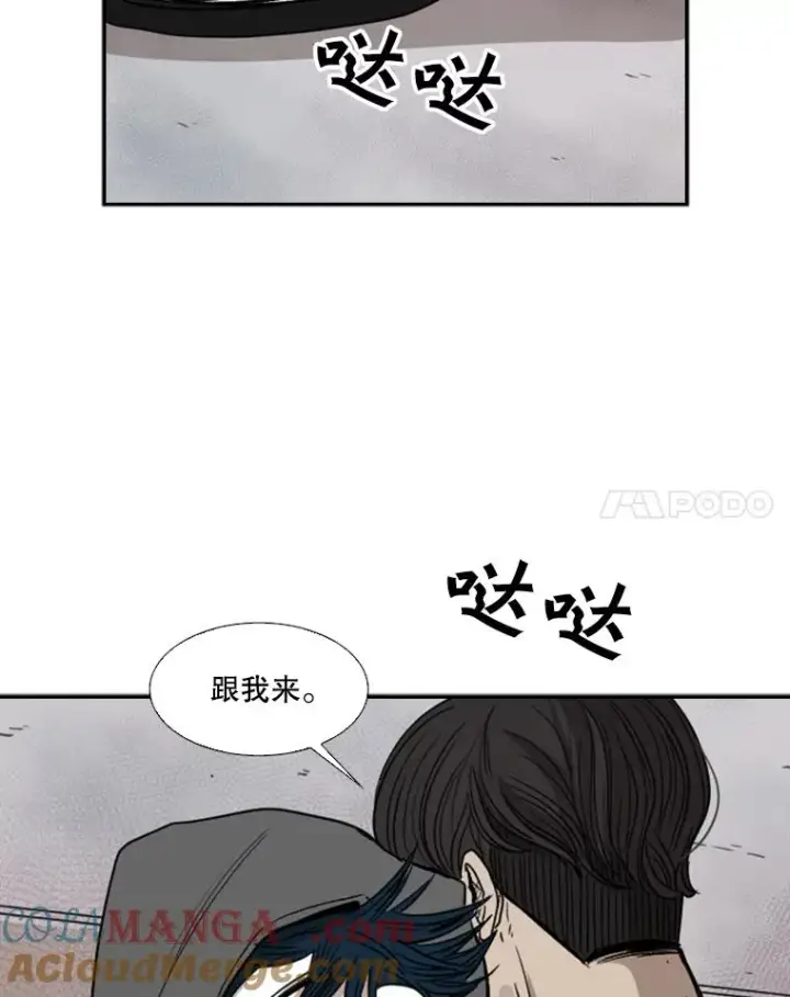 《鲨鱼》91.资格图105