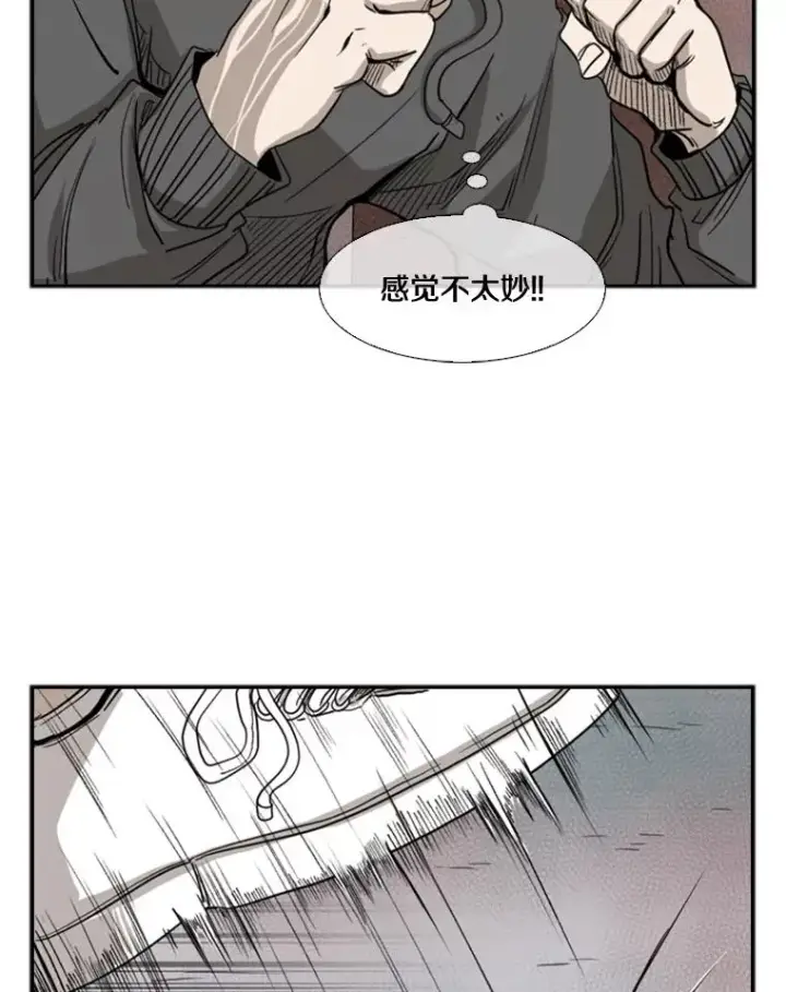 《鲨鱼》91.资格图43