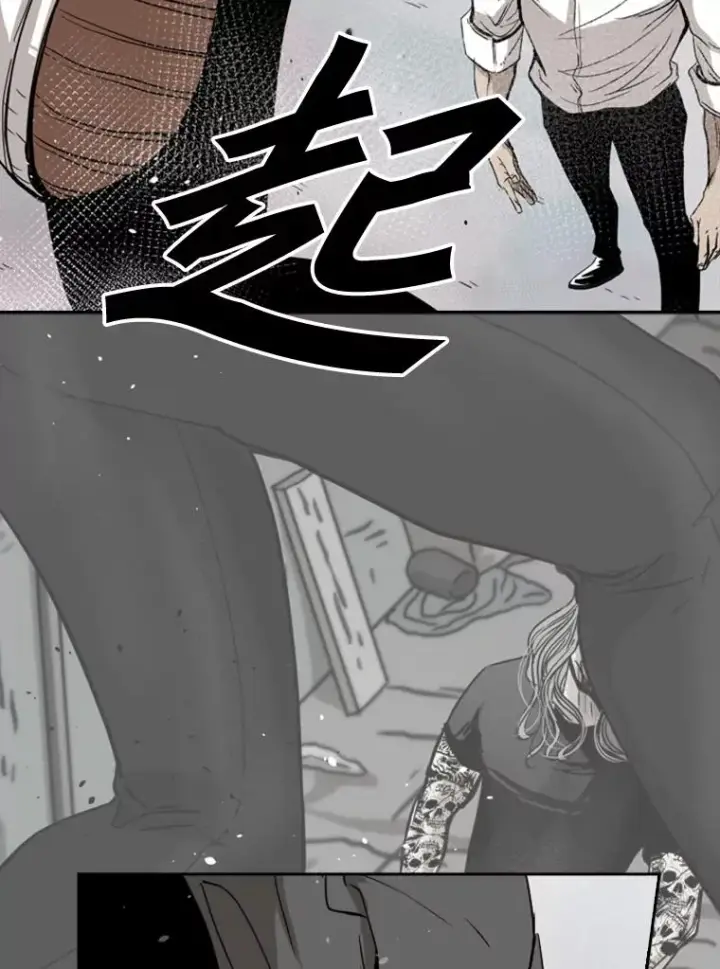 《鲨鱼》91.资格图63