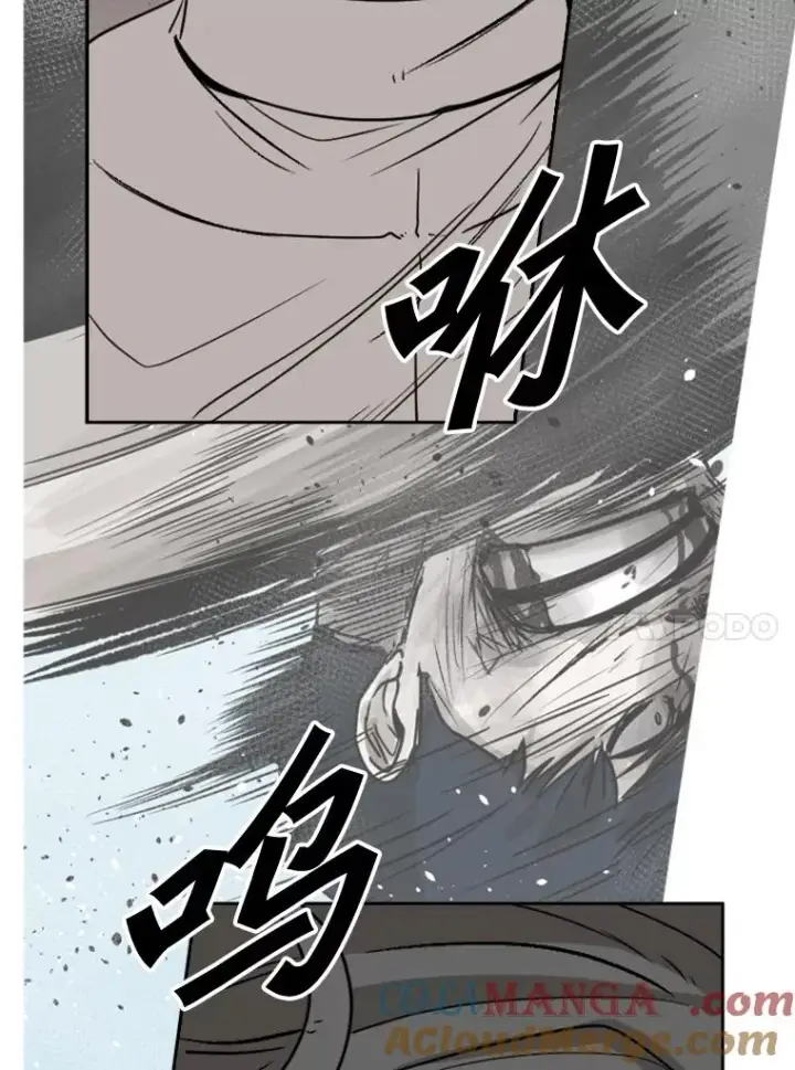 《鲨鱼》91.资格图65