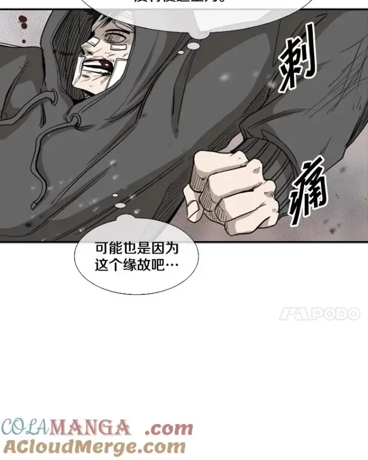 《鲨鱼》91.资格图85