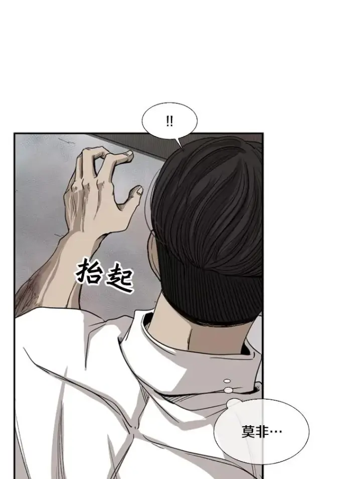 《鲨鱼》91.资格图96