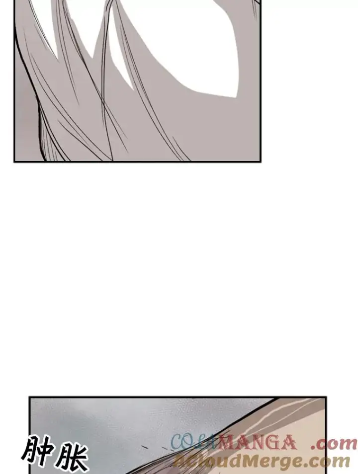 《鲨鱼》91.资格图97
