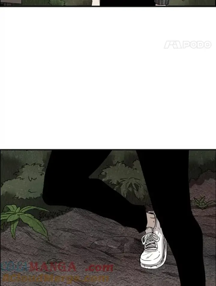 《鲨鱼》92.接受提议图79