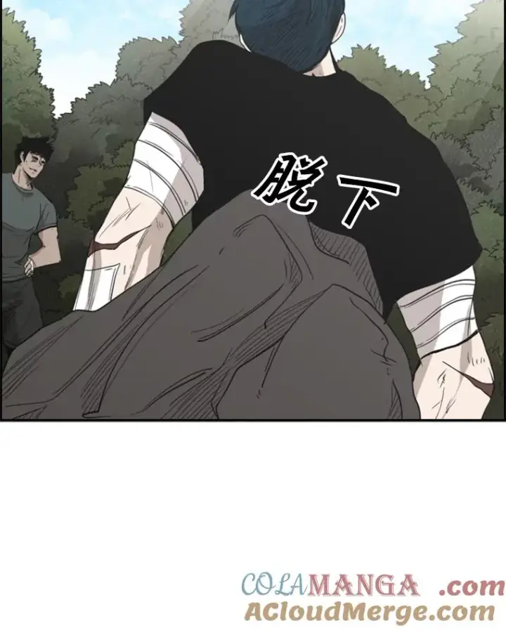 《鲨鱼》92.接受提议图97
