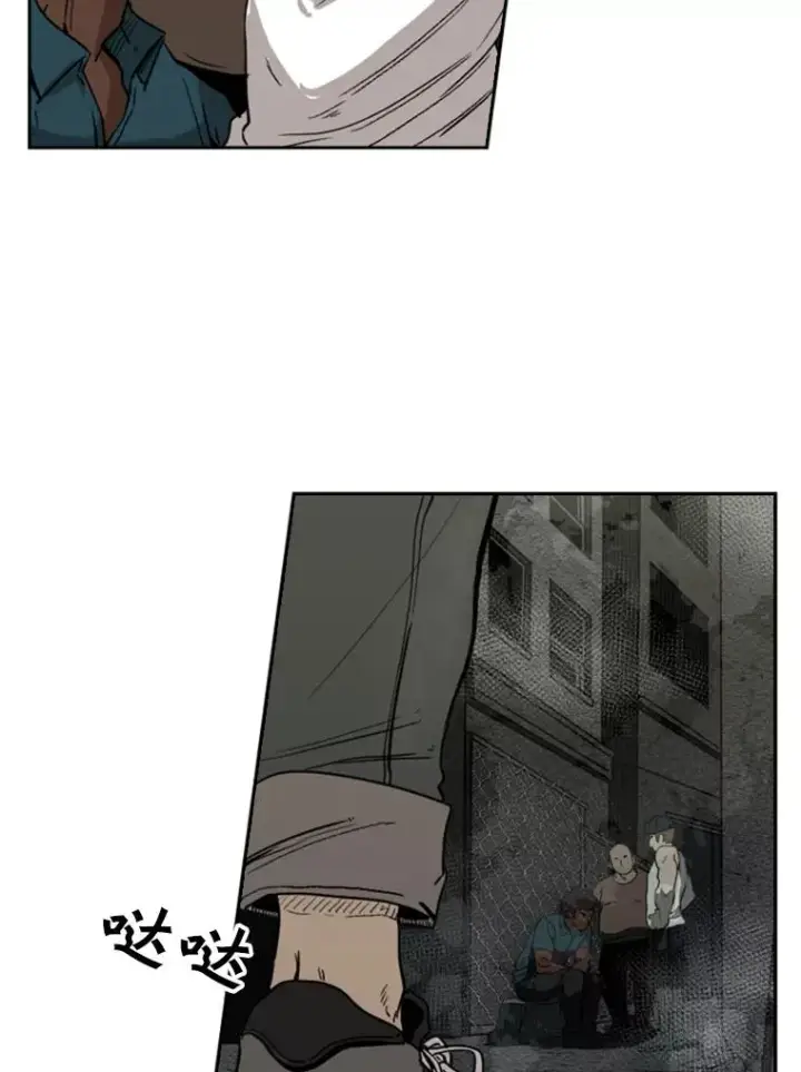 《鲨鱼》94.踢馆图106