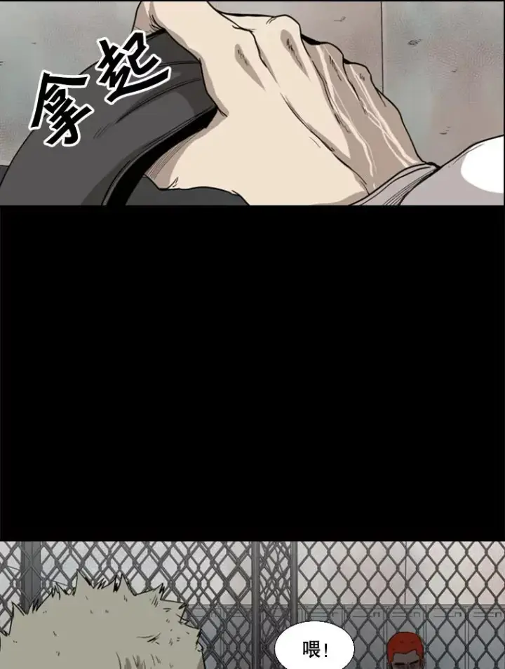 《鲨鱼》94.踢馆图94