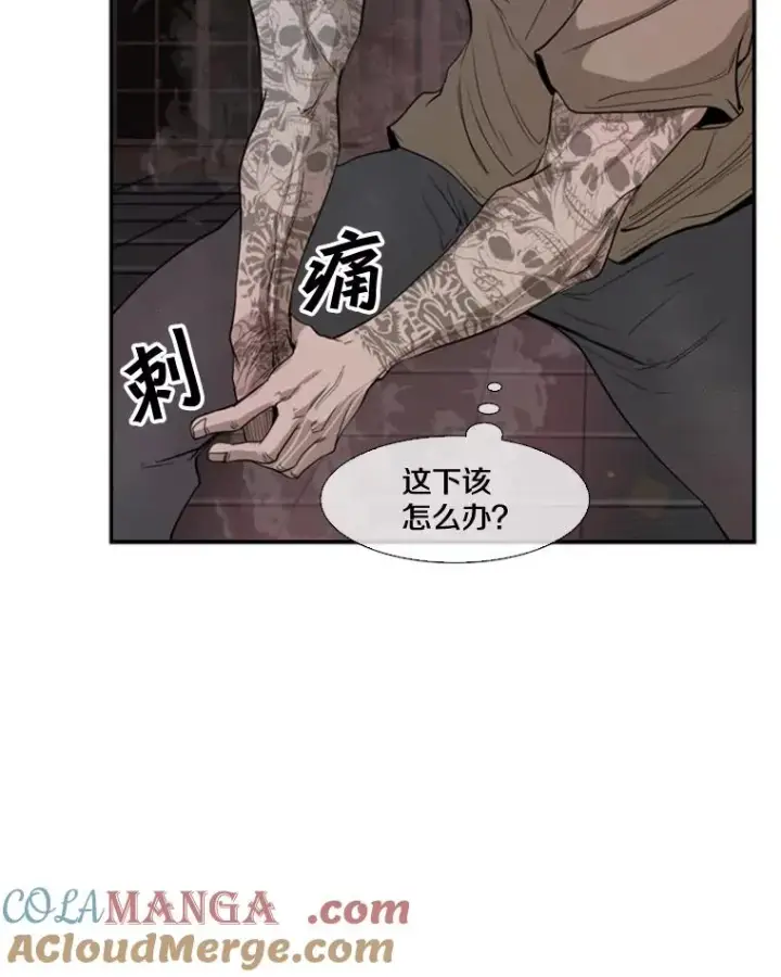 《鲨鱼》97.突破极限图77