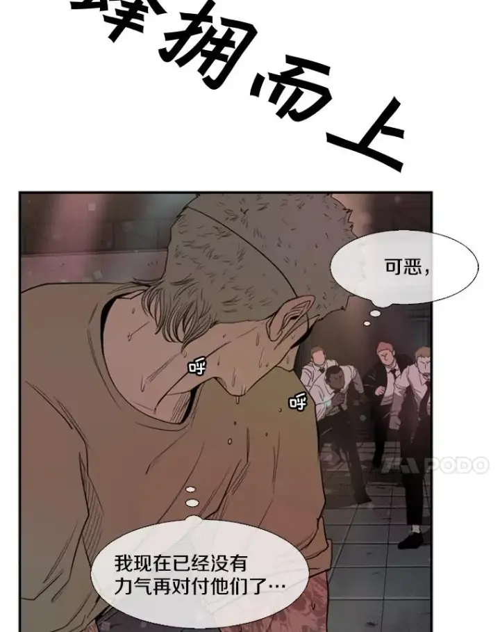 《鲨鱼》98.分出胜负图82