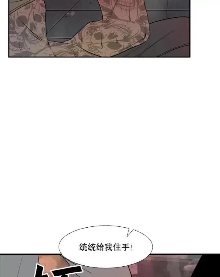 《鲨鱼》98.分出胜负图83