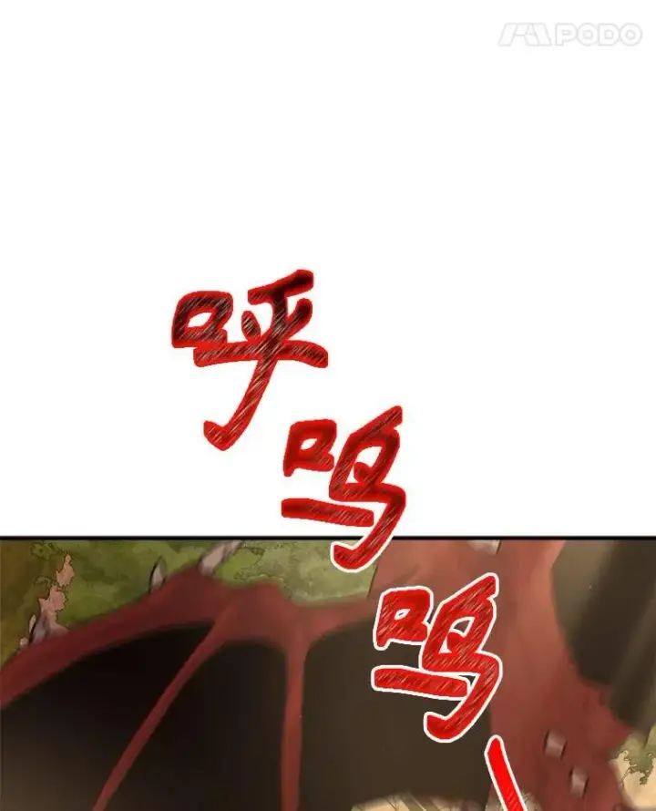 《神级英雄们的继承者》5.艾丹图78