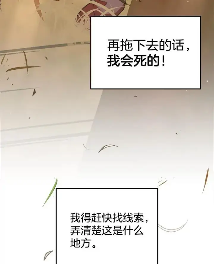 《神级英雄们的继承者》5.艾丹图82