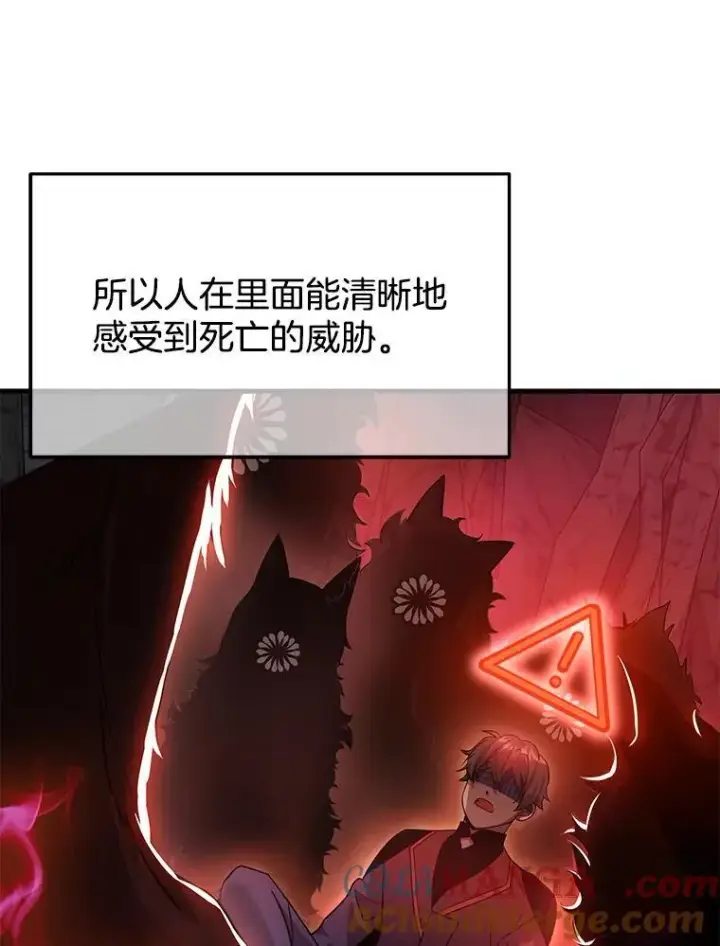 《神级英雄们的继承者》9.全能级攻略者图5