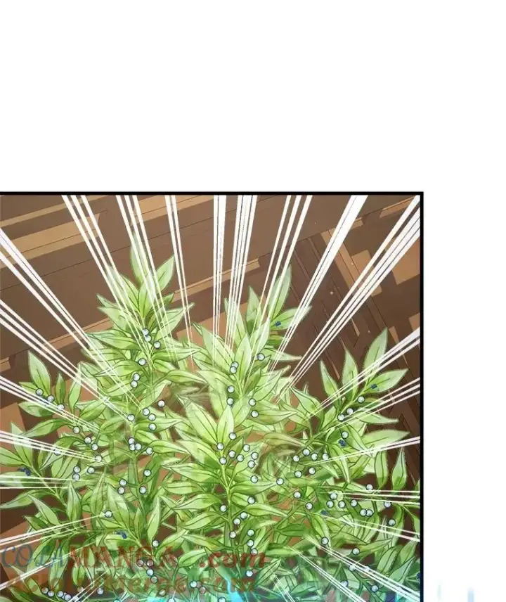 《神级英雄们的继承者》12.夺冠图41