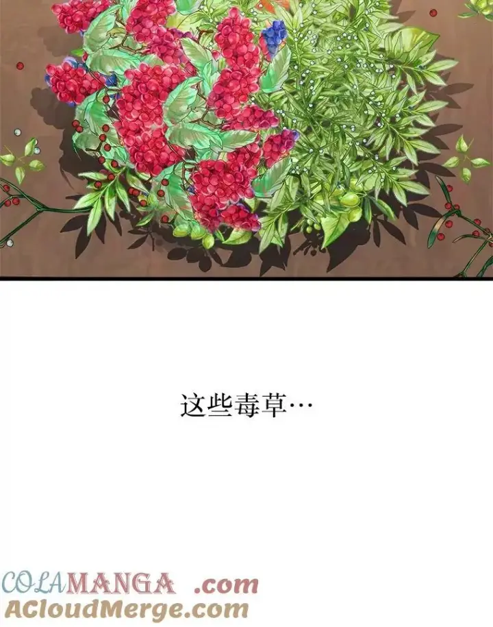 《神级英雄们的继承者》12.夺冠图53