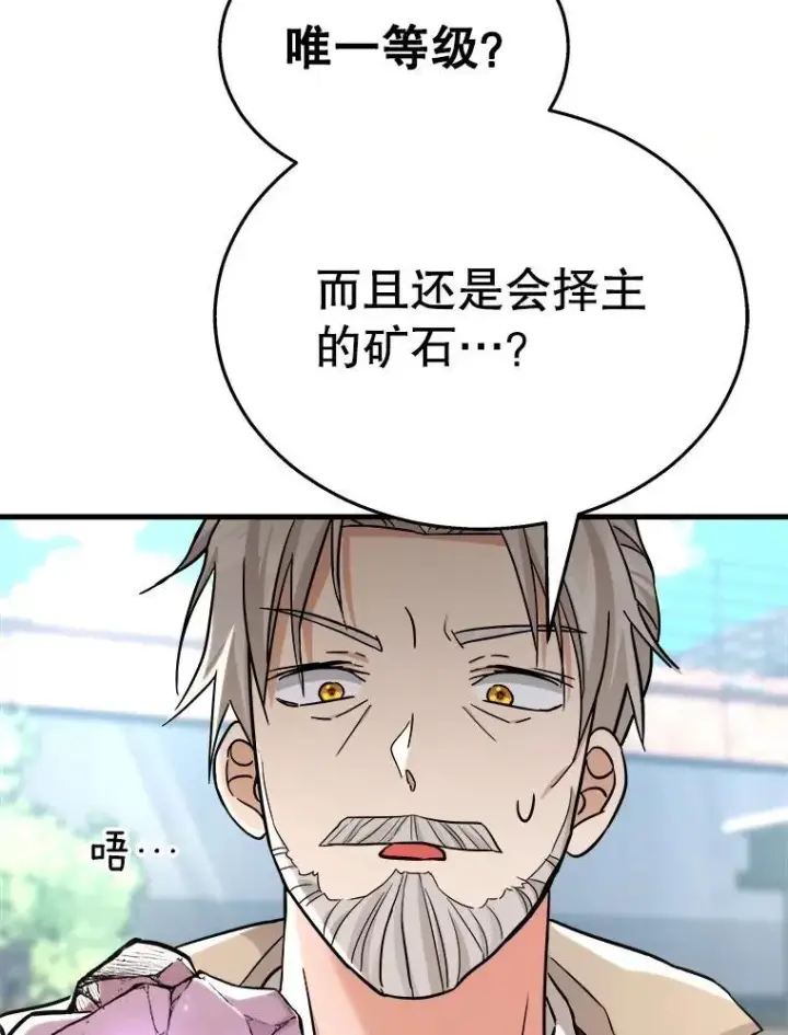 《神级英雄们的继承者》13.择主的矿物图91