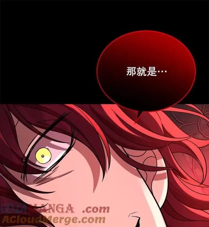 《神级英雄们的继承者》25.恶魔化图13