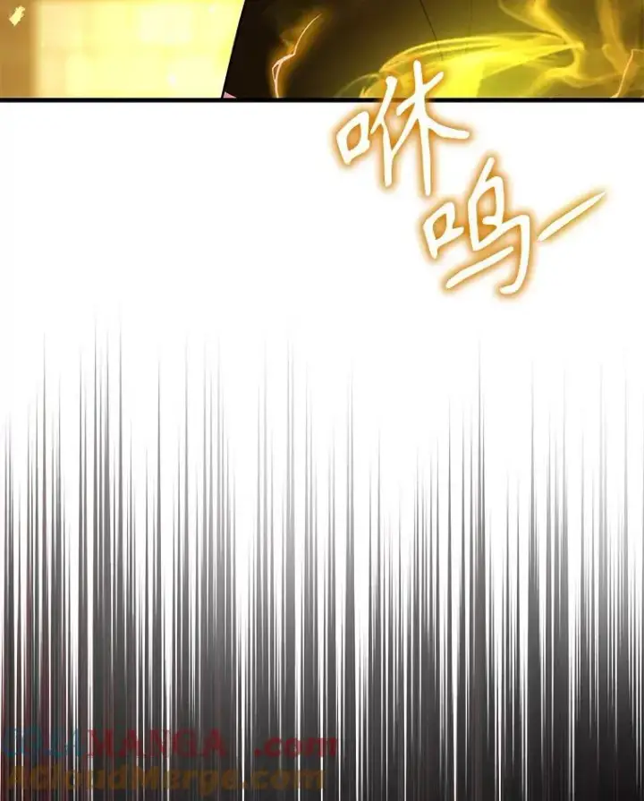 《神级英雄们的继承者》27.获救图29