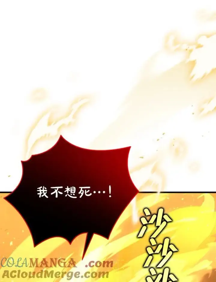 《神级英雄们的继承者》28.消灭恶魔图161