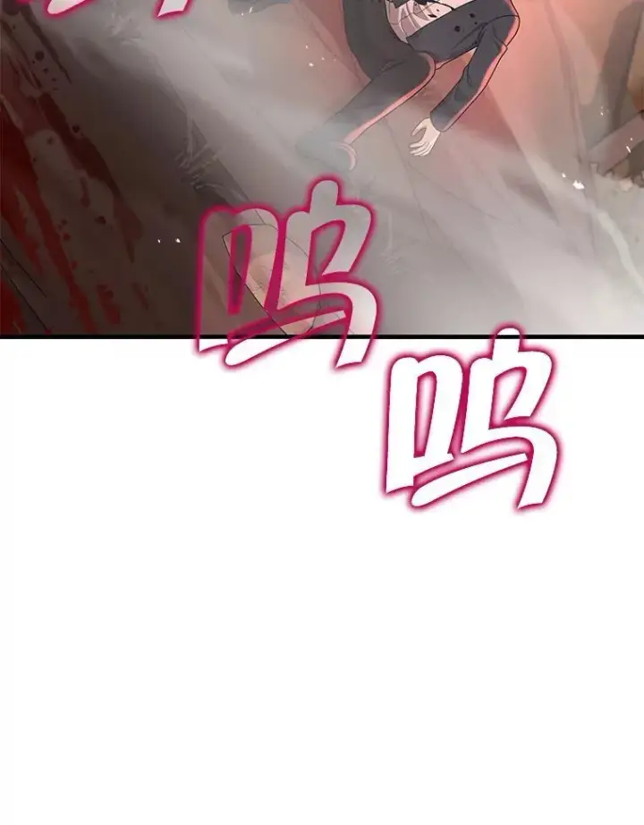 《神级英雄们的继承者》31.往事图126