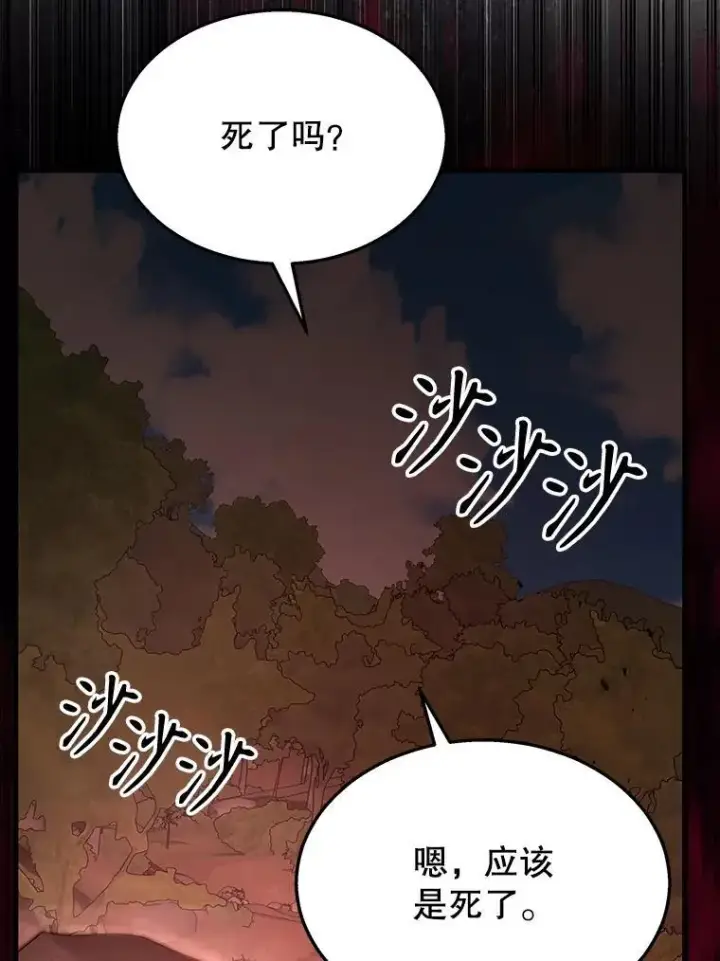 《神级英雄们的继承者》31.往事图132