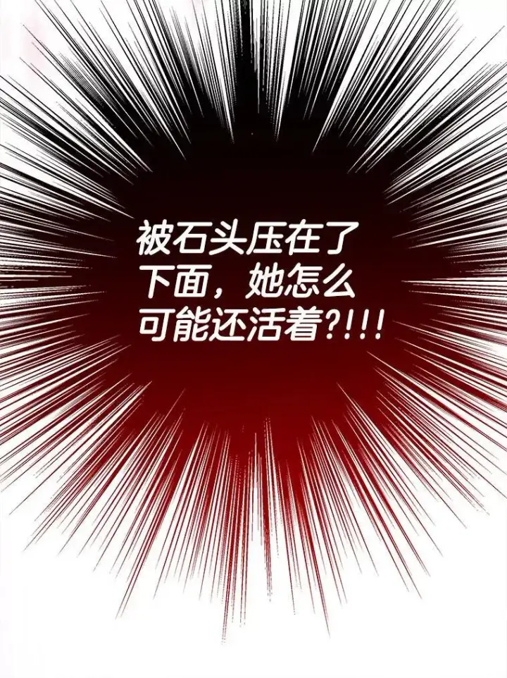 《神级英雄们的继承者》31.往事图139