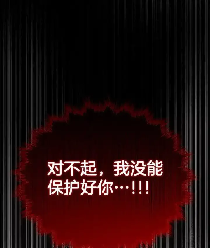 《神级英雄们的继承者》31.往事图146