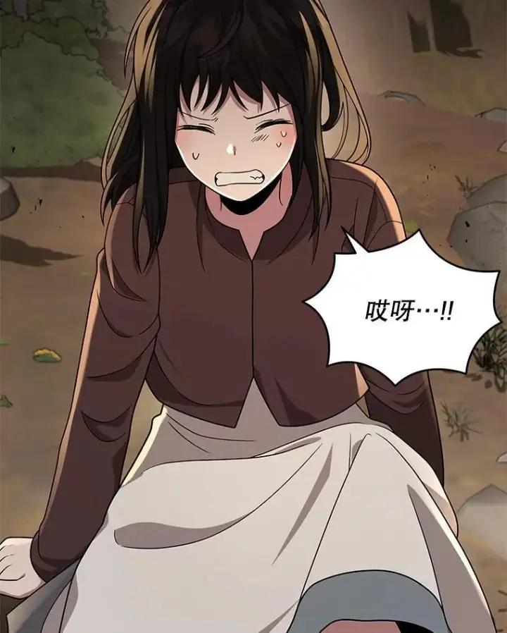 《神级英雄们的继承者》31.往事图96